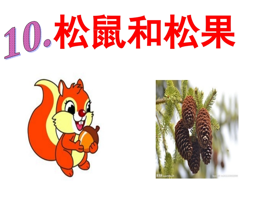 《10、松鼠和松果》公开课2_第3页