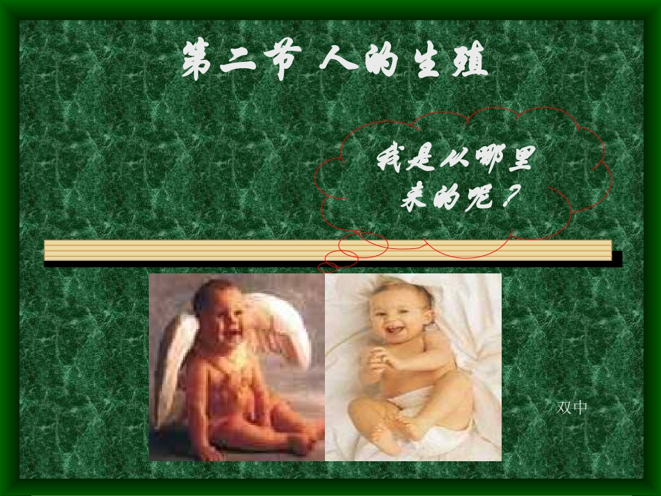 人的生殖课件 (2)_第1页