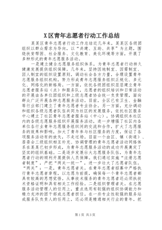 X区青年志愿者行动工作总结