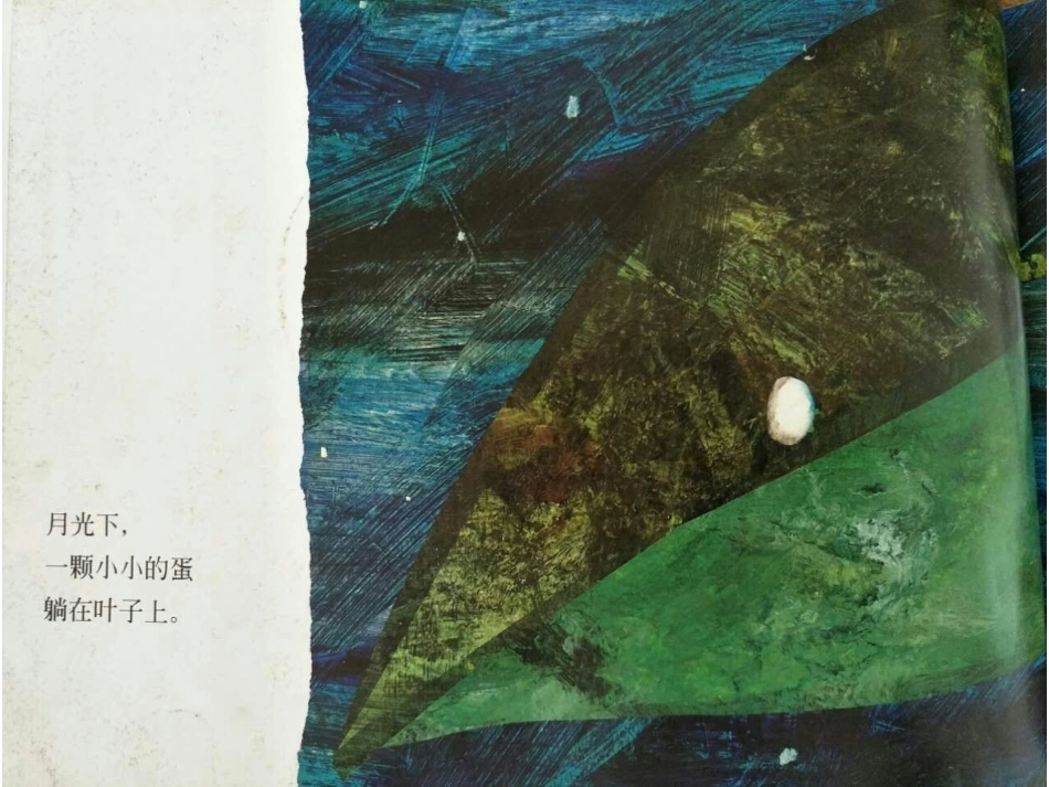 《好饿的毛毛虫》_第2页