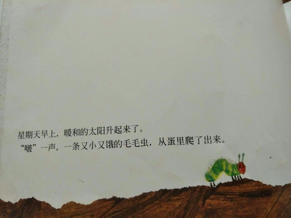 《好饿的毛毛虫》_第3页