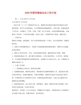 2020年国有粮油企业工作计划