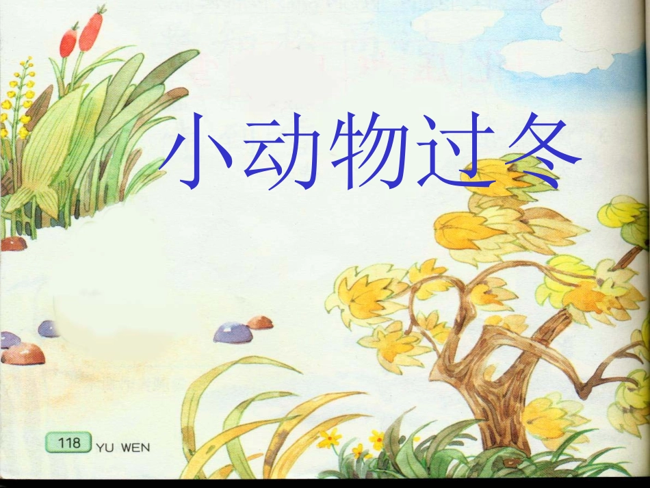 《小动物过冬》教学课件_第1页