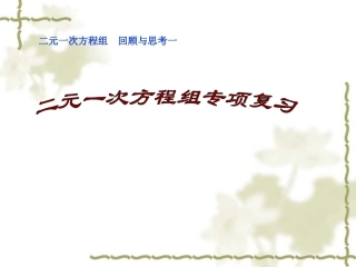 《二元一次方程组》专题复习课件