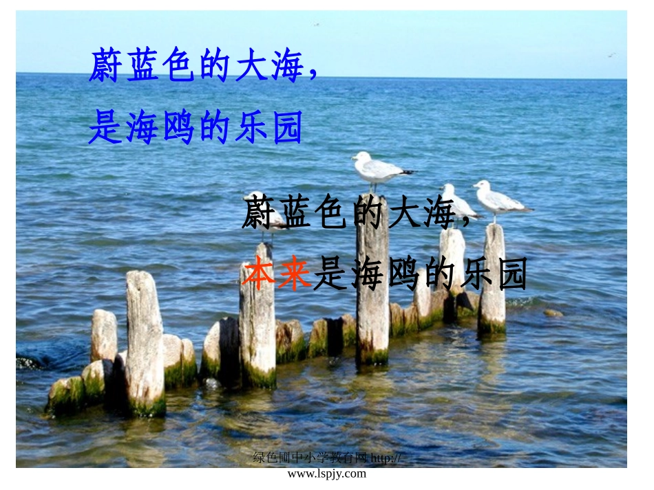 《和我们一样享受春天》课件PPT_第2页