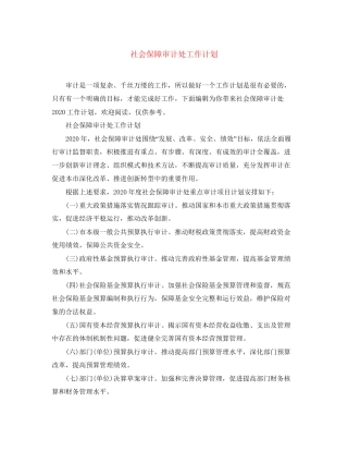 社会保障审计处工作计划