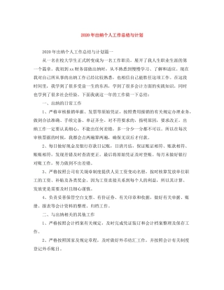 2020年出纳个人工作总结与计划