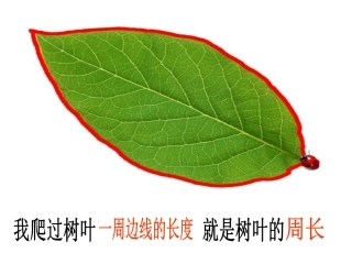 《周长的认识》PPT课件之一