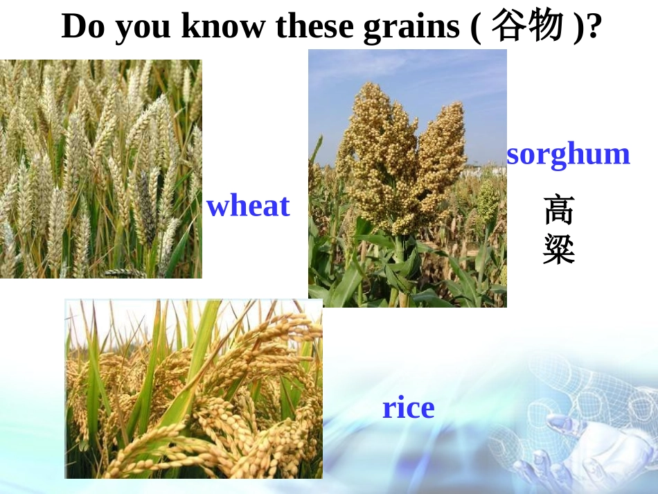 必修四unit2Reading_第3页