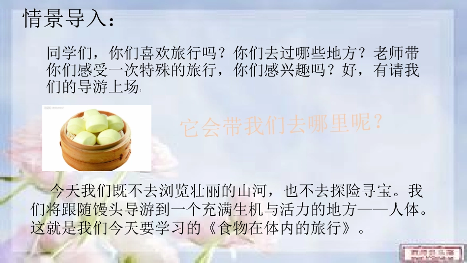 《食物在体内的旅行》课件_第1页