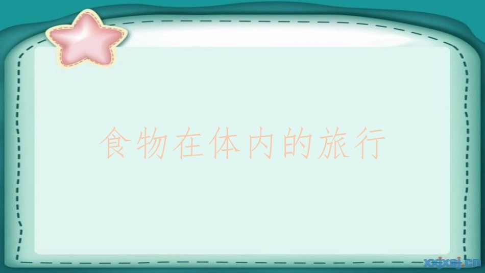 《食物在体内的旅行》课件_第2页