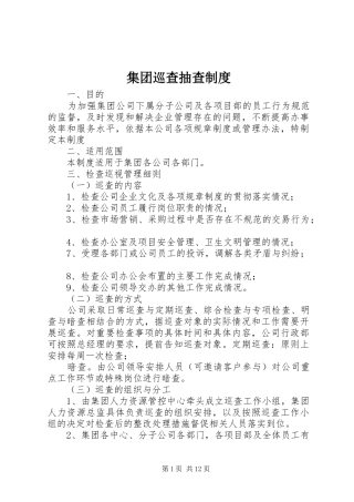 集团巡查抽查制度