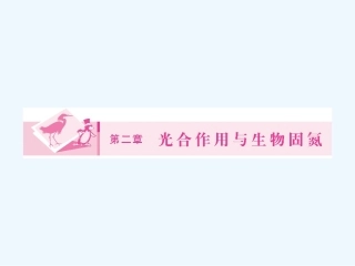 《金版新学案》2011高三生物一轮 课时1 光合作用　生物固氮课件 选修2