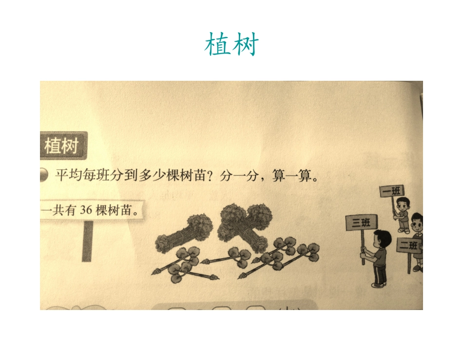 《植树》课件_第3页