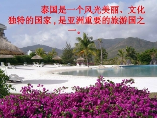 《与象共舞》课件(1)