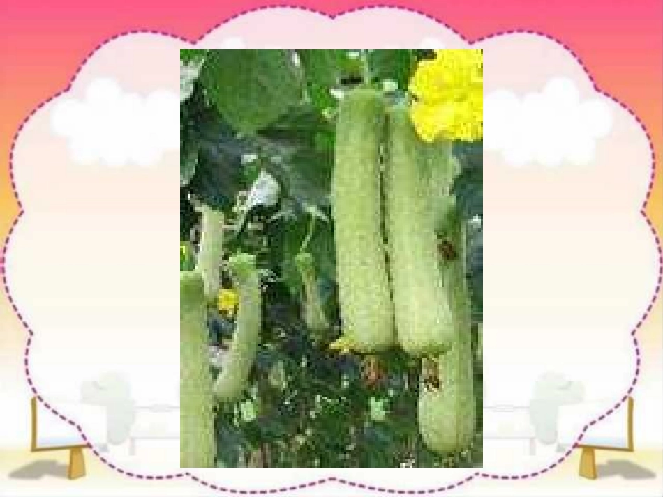 一次比一次有进步 (5)_第3页