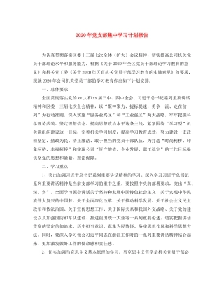2020年党支部集习计划报告
