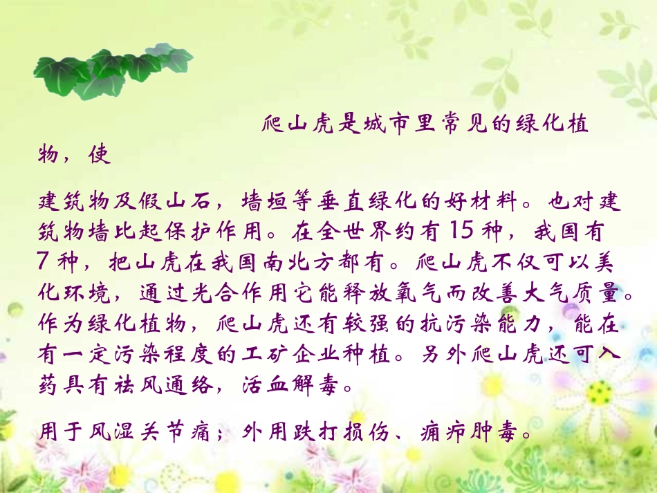 小学四年级上册语文第六课爬山虎的脚PPT课件2 (2)_第2页