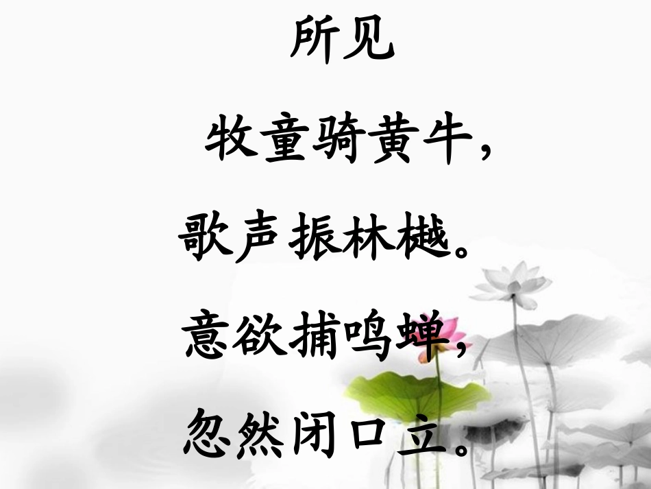 小学一年级语文下册《古诗两首：所见、小池》教学课件_2013010531523597_652_第3页