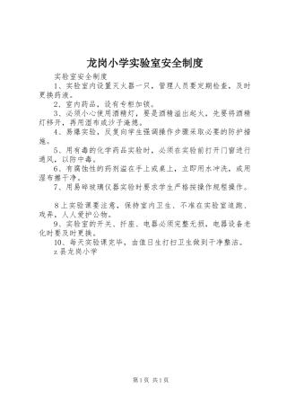 龙岗小学实验室安全制度