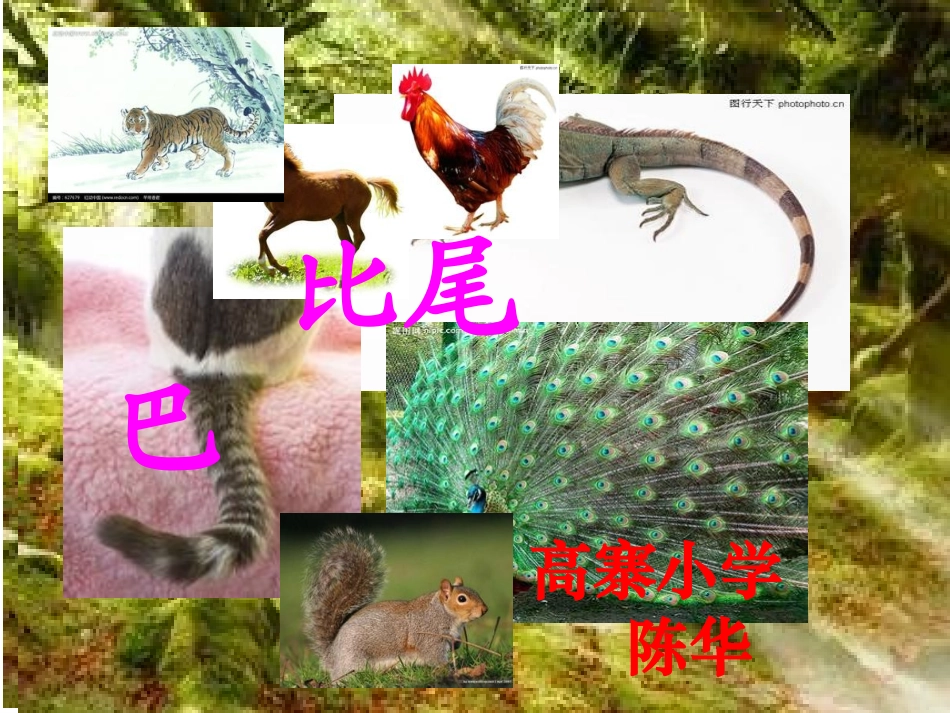 《10比尾巴》课件_第2页