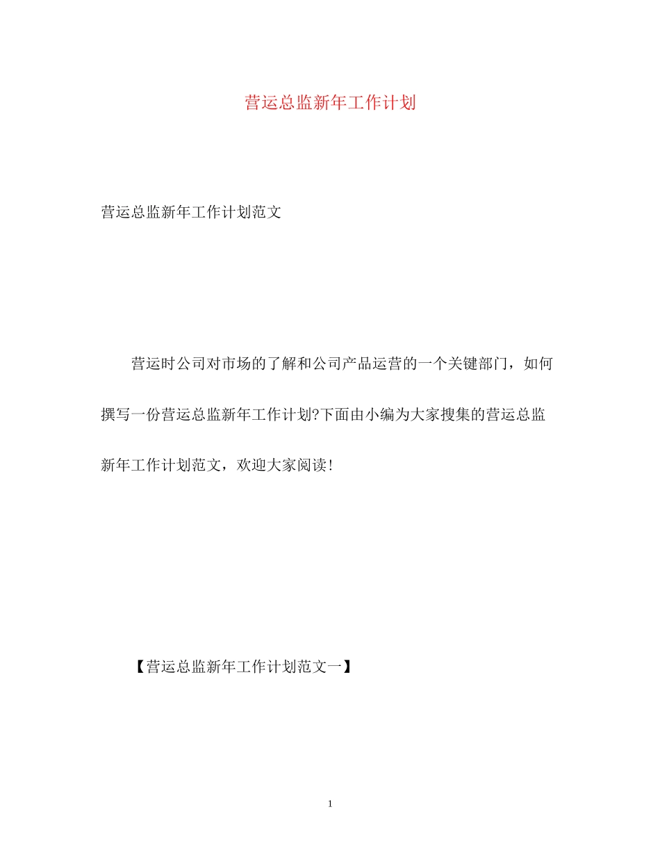 营运总监新年工作计划_第1页