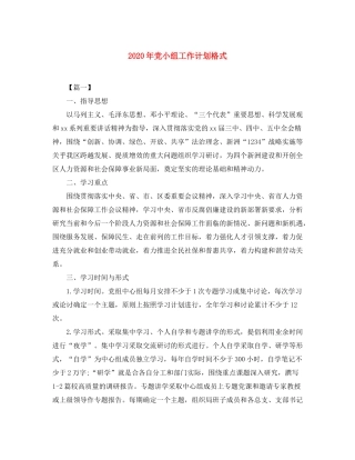 2020年党小组工作计划格式