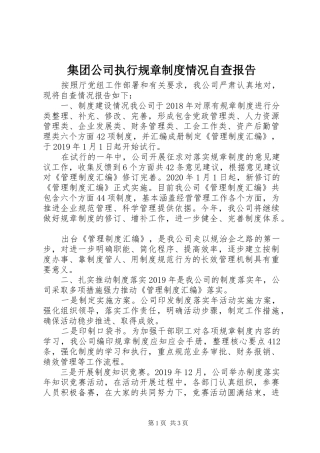集团公司执行规章制度情况自查报告