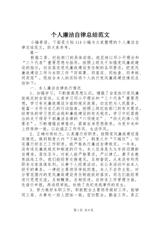 个人廉洁自律总结范文