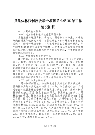 县集体林权制度改革专项领导小组XX年工作情况汇报