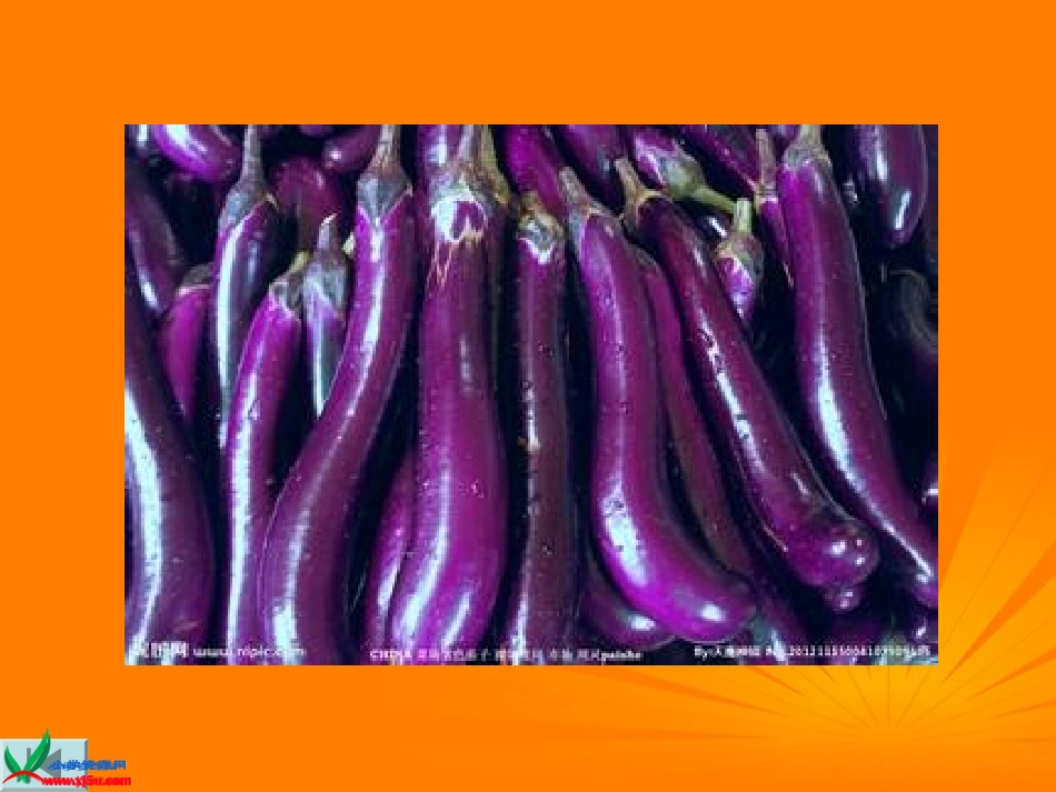 （上课用）生的食物和熟的食物_第3页