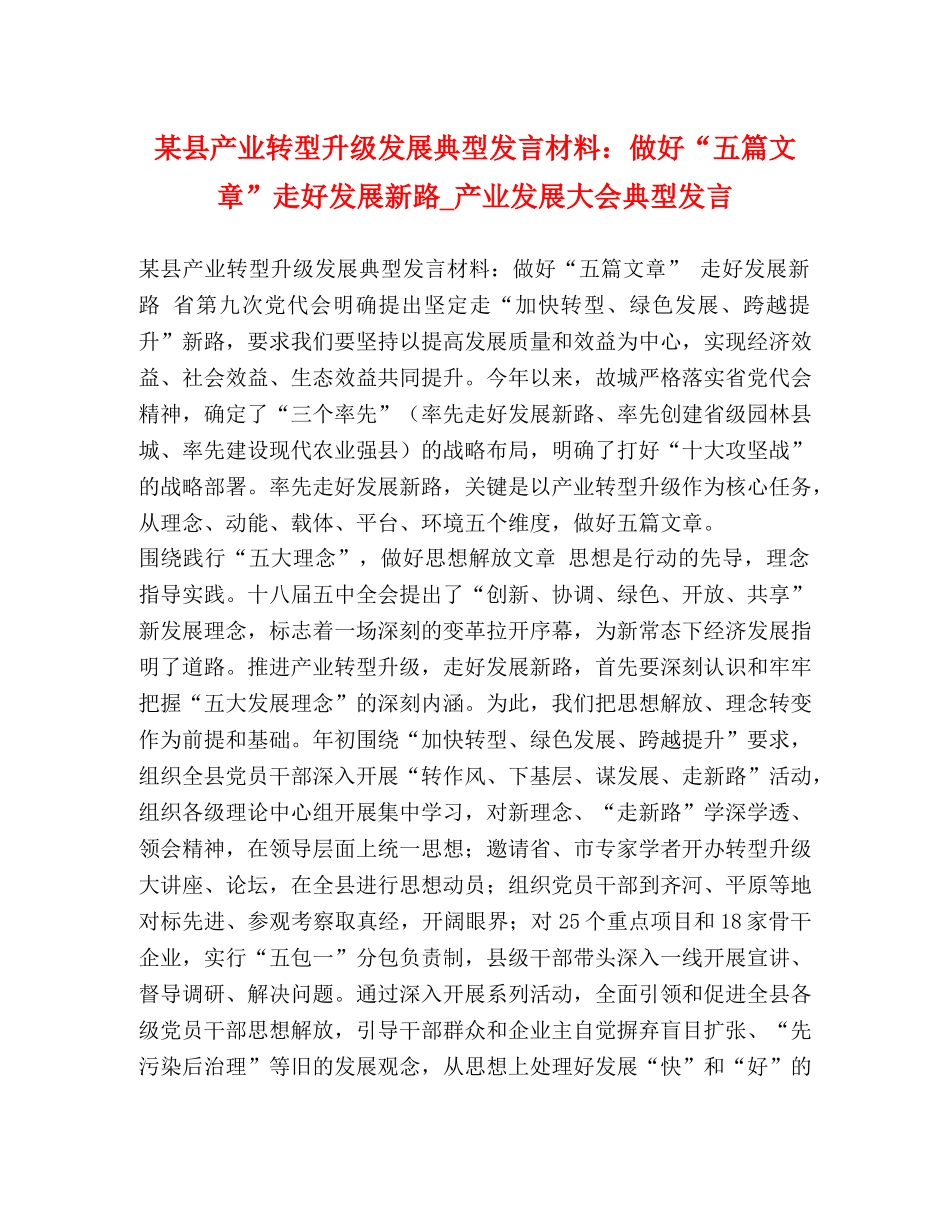 某县产业转型升级发展典型发言材料做好“五篇文章”走好发展新路_产业发展大会典型发言 _第1页