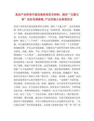 某县产业转型升级发展典型发言材料做好“五篇文章”走好发展新路_产业发展大会典型发言 