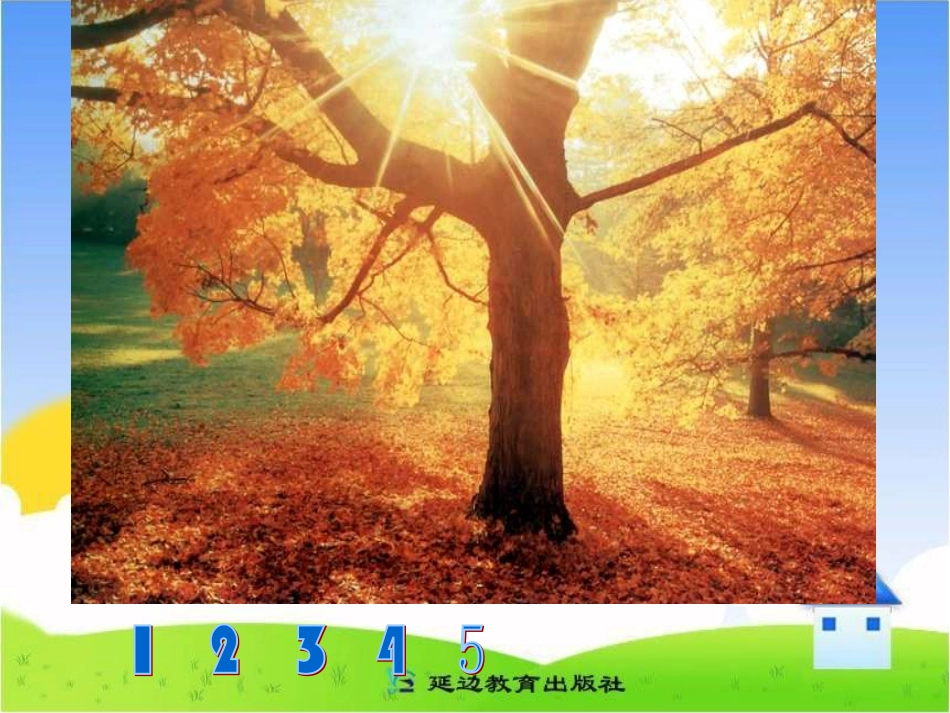 《我们去听秋的声音》课件(3)_第3页