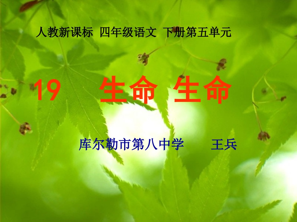 《生命生命２》PPT课件_第1页