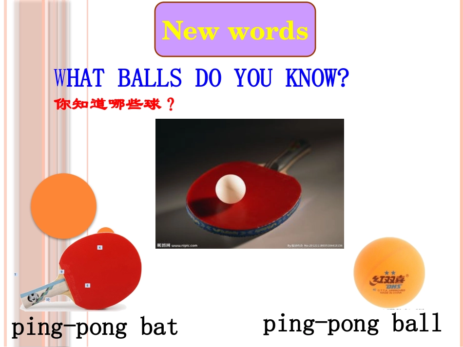 七年级上册　Unit5DoyouhaveasoccerballSectionA(1a-2c)_第2页