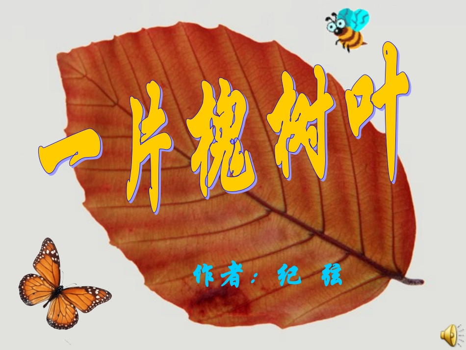 《一片槐树叶》课件_第1页