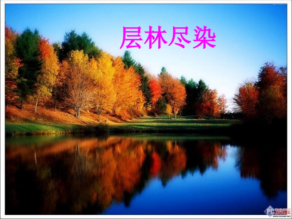 《秋天的雨》课件 (2)_第3页