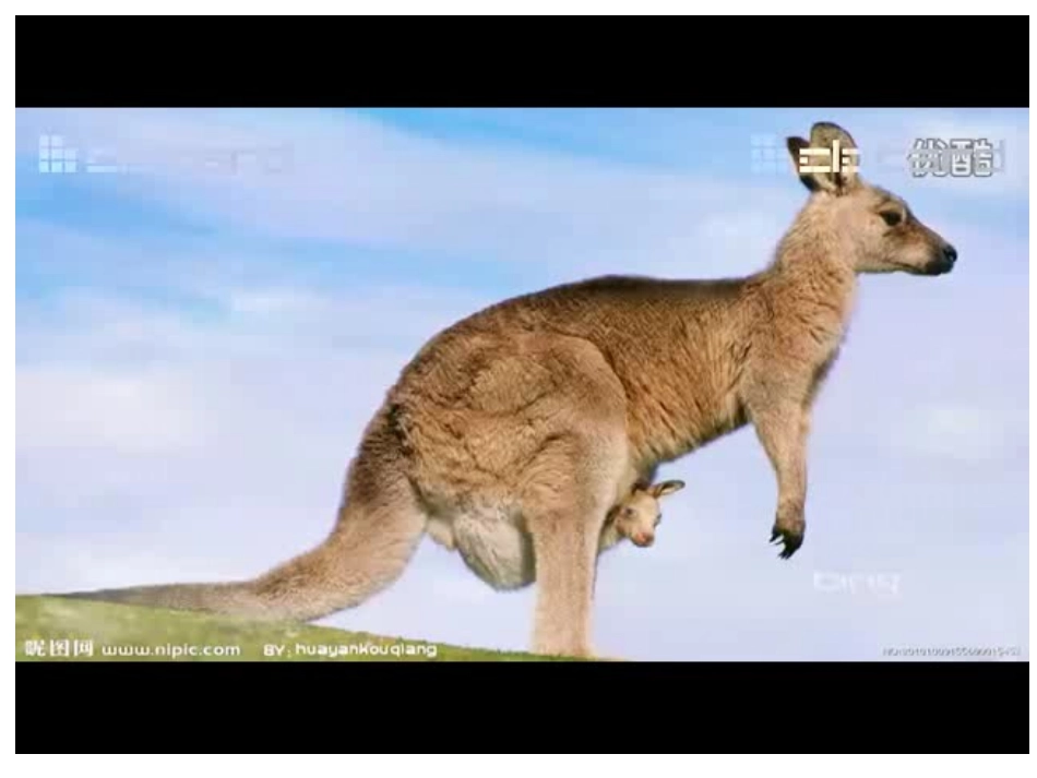 澳大利亚 (2)_第3页