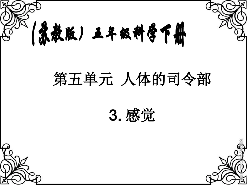 苏教版小学科学五年级下册《感觉》课件_第1页