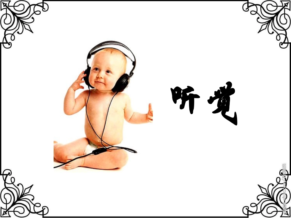 苏教版小学科学五年级下册《感觉》课件_第2页