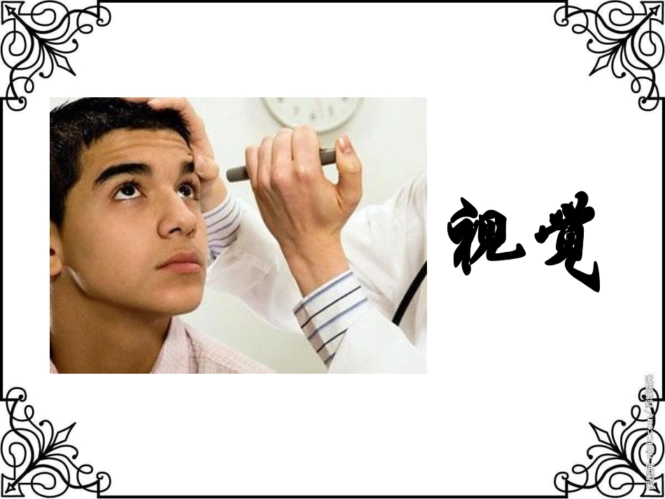 苏教版小学科学五年级下册《感觉》课件_第3页