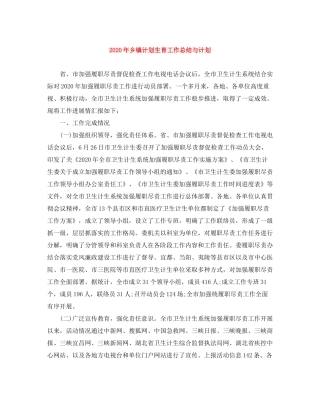 2020年乡镇计划生育工作总结与计划