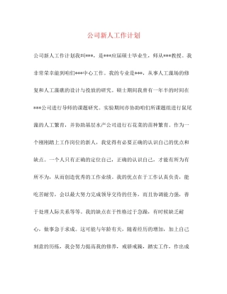 公司新人工作计划