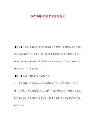 2020年村妇联工作计划例文