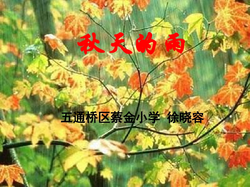 《秋天的雨》课件PPT(五通蔡小徐晓容)_第1页