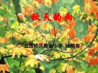 《秋天的雨》课件PPT(五通蔡小徐晓容)