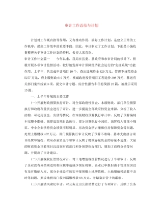 审计工作总结与计划