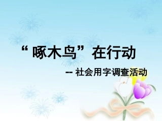 社会用字情况调查完结版(2)