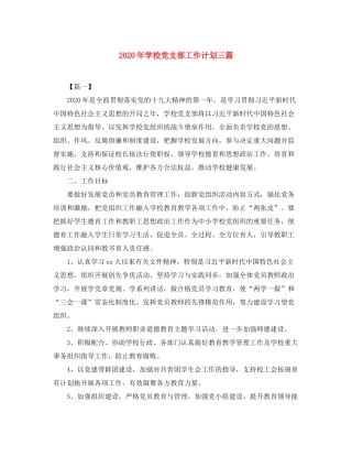 2020年学校党支部工作计划三篇